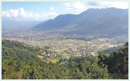 Urban Population on the Rise