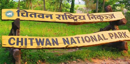Over 20,000 Tourists Visit Chitwan National Park during Dashain Vacation