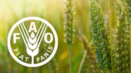 World Food Prices Drop for Seventh Month: FAO