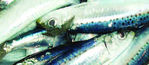 agriproducts
