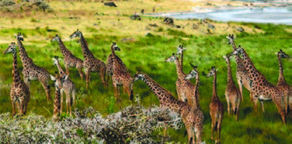 Tanzania