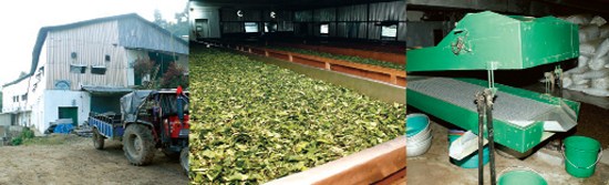 Shangrila Agro World